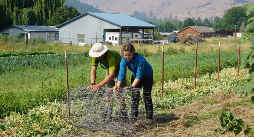 Two people work to roll chicken wire in a garden during a service project.